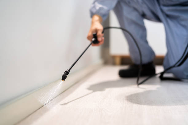 Licensed Pest Control service in Coyne Center, IL - Show Me Pest Control