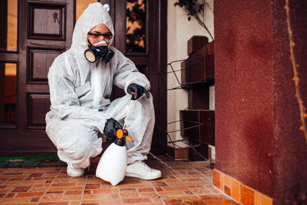 Attic and Crawl Space Rodent Treatment in Coyne Center