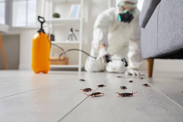Commercial Rodent Management in Coyne Center